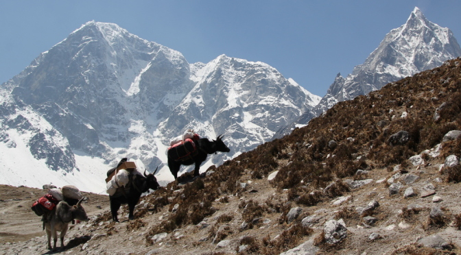 Trek To Everest Base Camp – A Most Beautiful Nightmare.